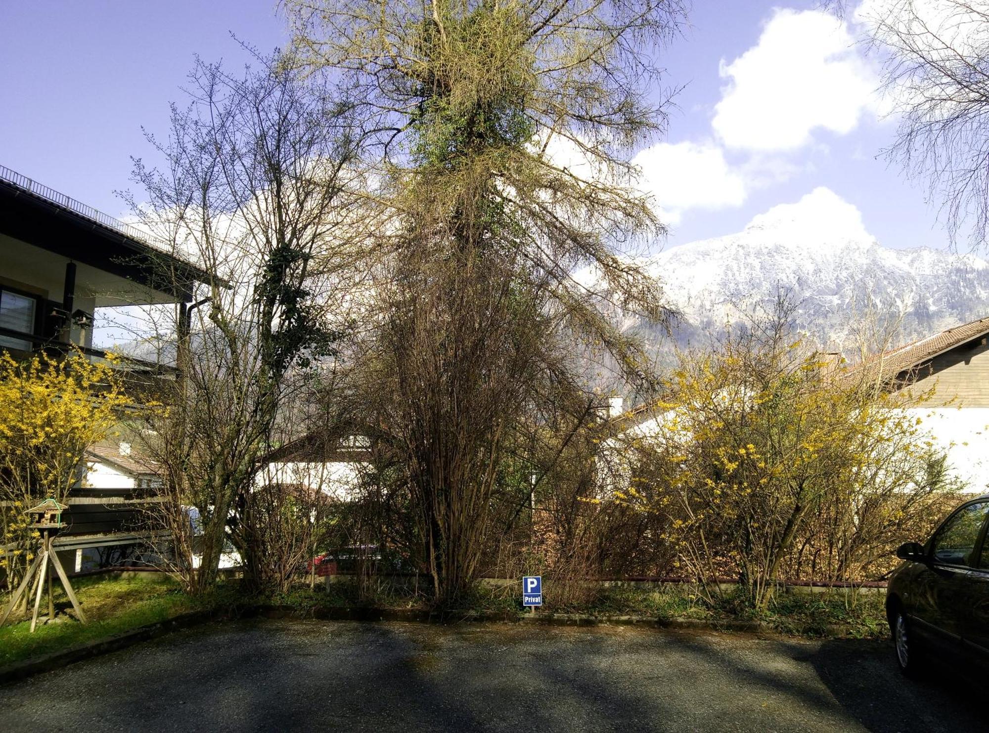 Apartment Thumseestrasse 18